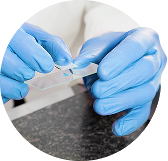 Lifecode Slide Sample